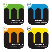 TRIDENTT SECOND OEUVRE - TSO logo
