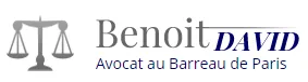 DAVID BENOIT logo