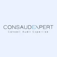 CONSAUDEXPERT logo