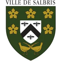 SALBRIS IMMOBILIER (ORPI SALBRIS IMMOBILIER) logo
