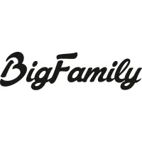 THE BIG FAMILY logo