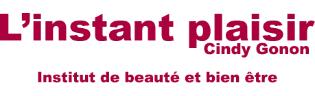 L'INSTANT PLAISIR (L'INSTANT PLAISIR) logo