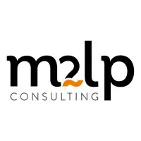 IDES CONSULTING (IDES CONSULTING) logo