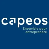 CAPEOS AUDIT (CAPEX AUDIT) logo