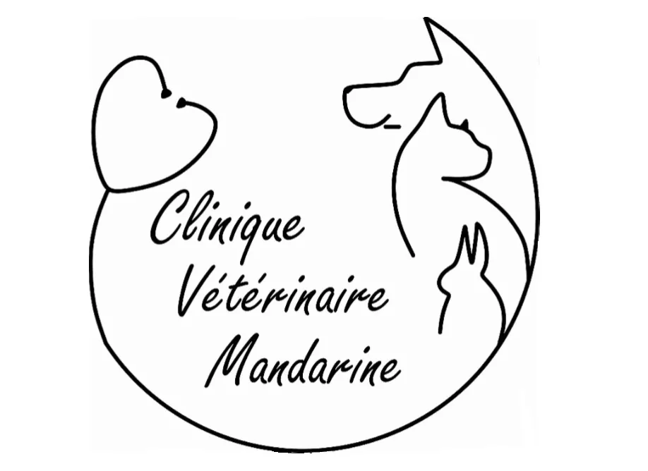 SOCIETE D'EXERCICE LIBERAL A RESPONSABILITE LIMITEE DE VETERINAIRES MANDARINE logo