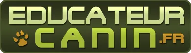 LASFARGUES NICOLAS logo