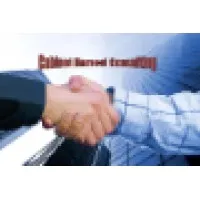 HAMOUI CONSULTING (CABINET HAMOUI CONSULTING) logo