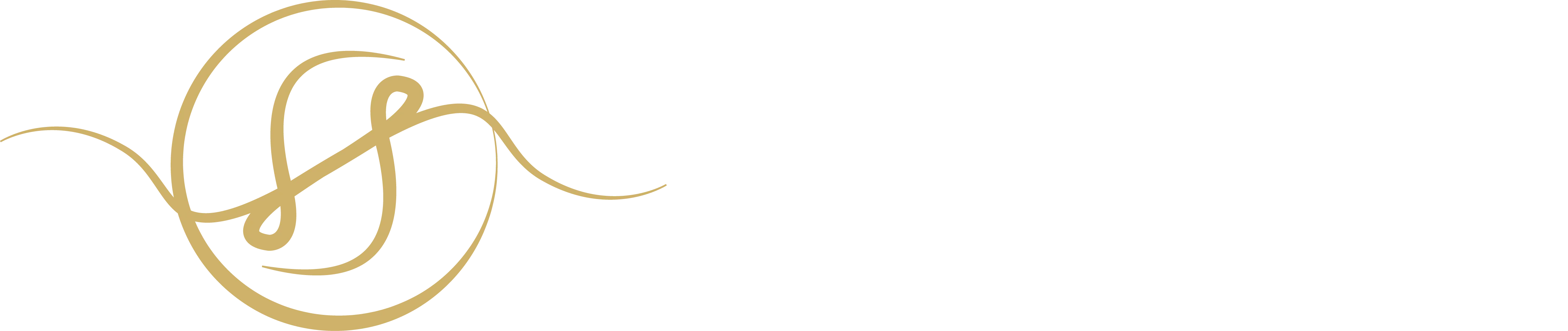 SECRET DES SENS (BLEU MARINE) logo