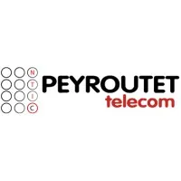 NTIC PEYROUTET TELECOM logo