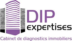 DIP EXPERTISES logo