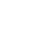 DIAMINA logo