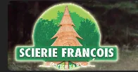 FANYSCIE logo