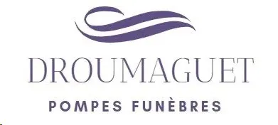 P.F. DROUMAGUET (P.F. DROUMAGUET) logo