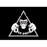 DEF-PROD MUSIC (SARL DEF-PROD) logo