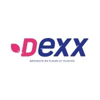 DEXX LYON (DEXX) logo