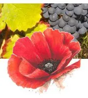 GFA CLOS DU PICATIER logo