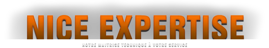 NICE EXPERTISE logo