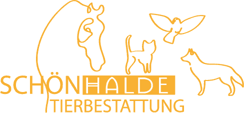 ADV logo
