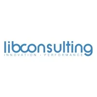 LIB CONSULTING logo