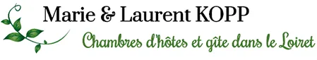 KOPP LAURENT logo