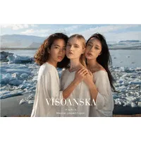 VISOANSKA logo