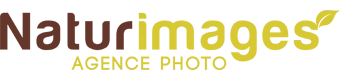 NATURIMAGES (NATURIMAGES) logo