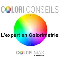 COLOR I CONSEILS logo