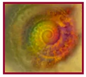 MERTZ VIOLETA logo