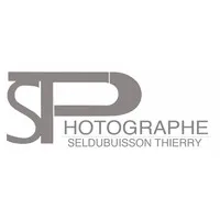 SELDUBUISSON THIERRY logo