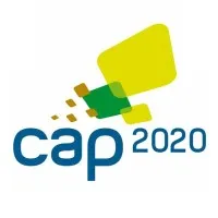 CAP 2020 - CONSULT (CAP 2020 - CONSULT) logo