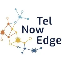 TELNOWEDGE logo