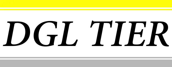 SARL D G L (TIER) logo