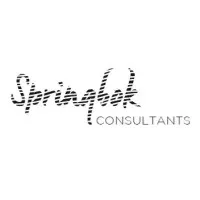 SPRINGBOK CONSULTANTS logo