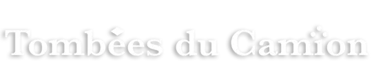 TOMBEES DU CAMION (TOMBEES DU CAMION) logo