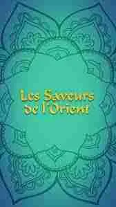 LES SAVEURS DE L ORIENT logo
