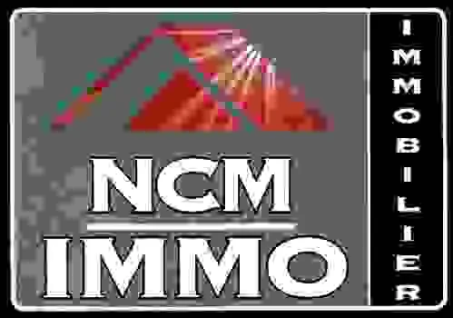 NCM IMMO logo