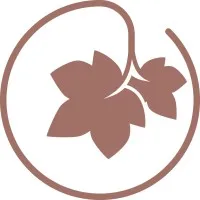 DAVEMMA logo