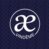 VINDEME logo