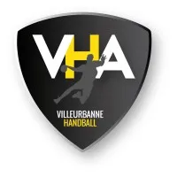 VLM (VILLEURBANNE LYON METROPOLE) logo