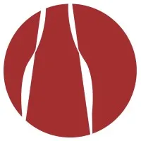 N2C logo
