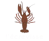 L ECREVISSE logo