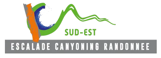 SZAMOSFALVI ARON logo