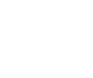 WHILHEM CONSEIL logo