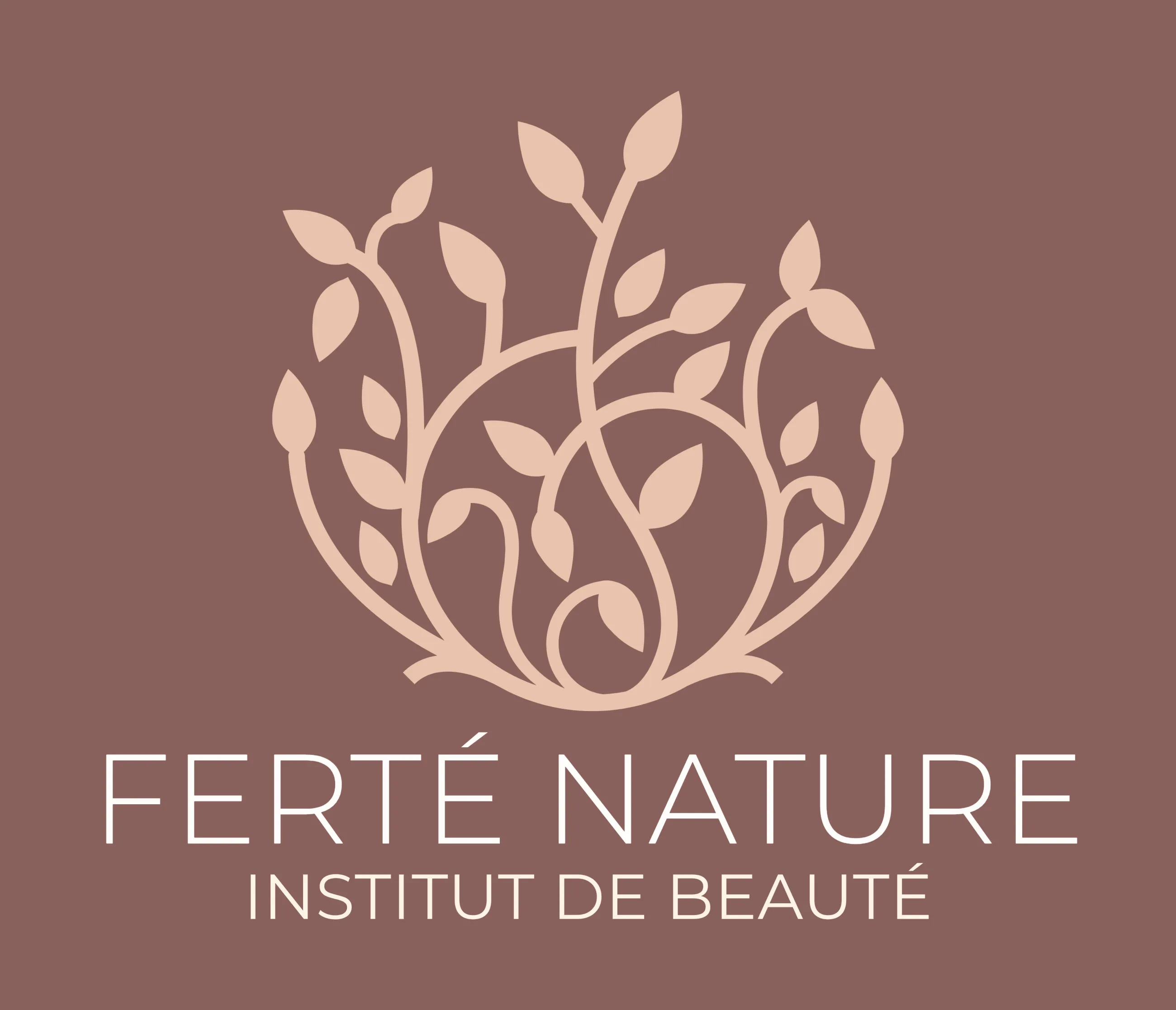 VEILLE LAURE logo