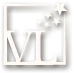 VISION LUXE logo