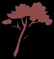 CAVEAU LA CLAPE logo