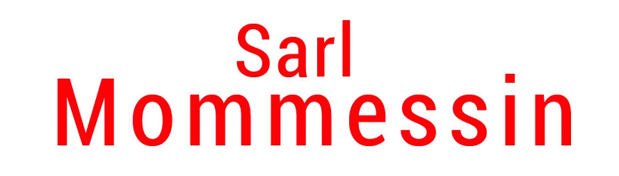 SARL MOMMESSIN logo