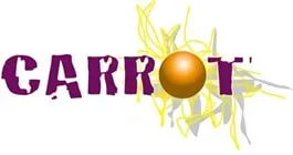 TRANSPORTS CARROT YANNICK TAXIS (TRANSPORTS CARROT YANNICK TAXIS) logo