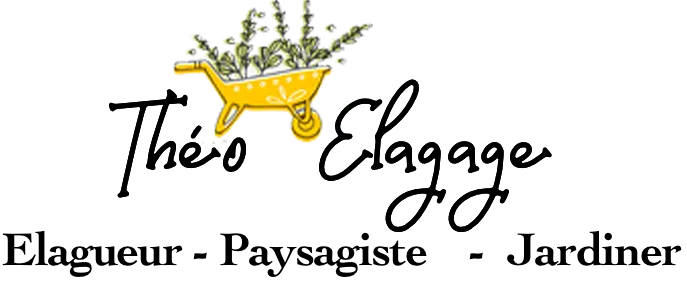 ADEL THEO logo