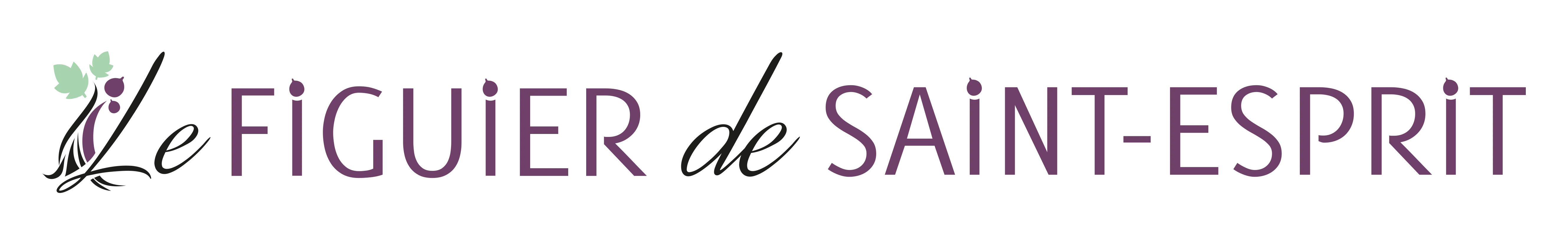 LE FIGUIER DE SAINT ESPRIT logo